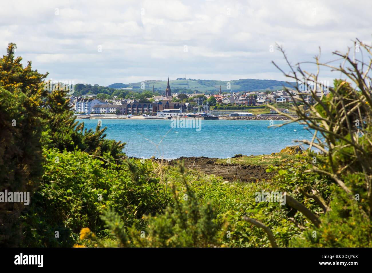 3 June 2020 A view across Ballyholme Bay through the whin bushes at Ballymacormick Point in Bangor County Down Northern Ireland. The Craigantlet hills Stock Photo