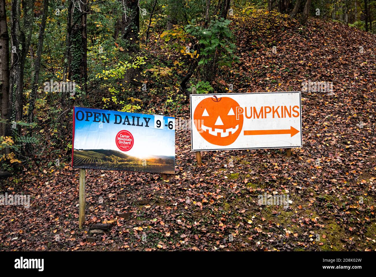 Charlottesville, USA October 25, 2020 Carter Mountain Apple Orchard
