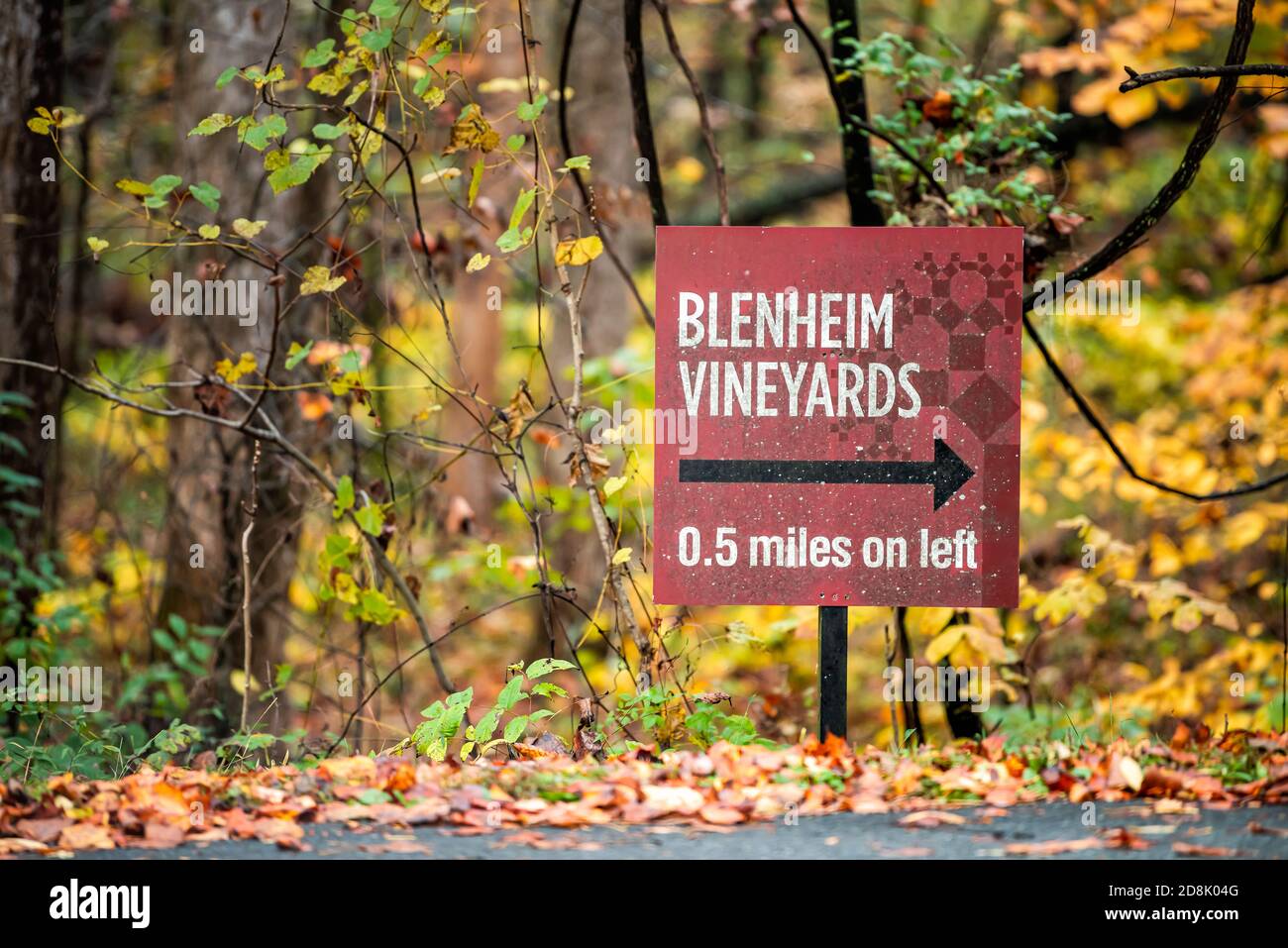 Charlottesville, USA - October 25, 2020: Blenheim Winery Vineyard sign in Virginia in autumn fall season with arrow direction on road street Stock Photo