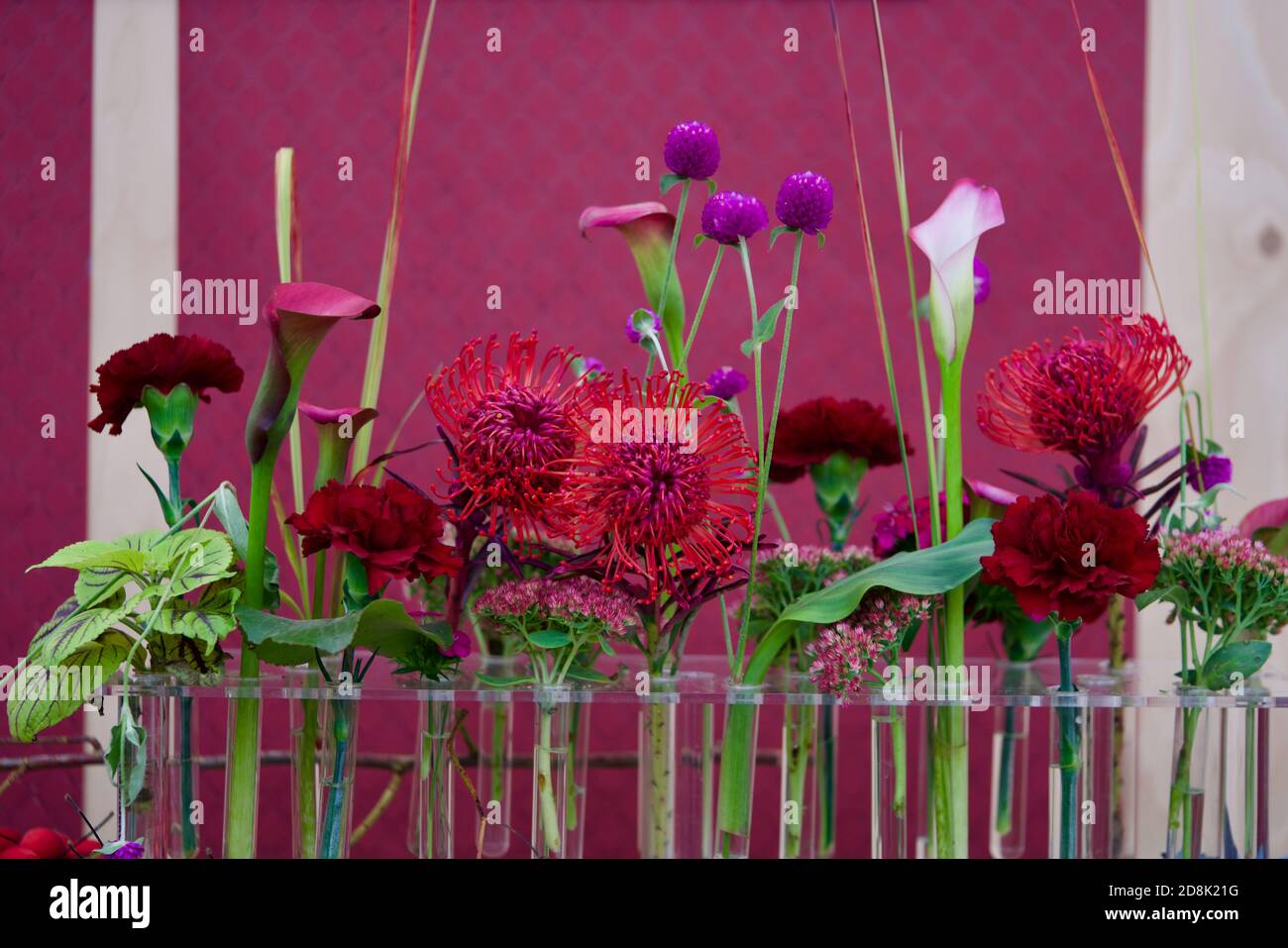 Red flower mix in glas tubes Stock Photo