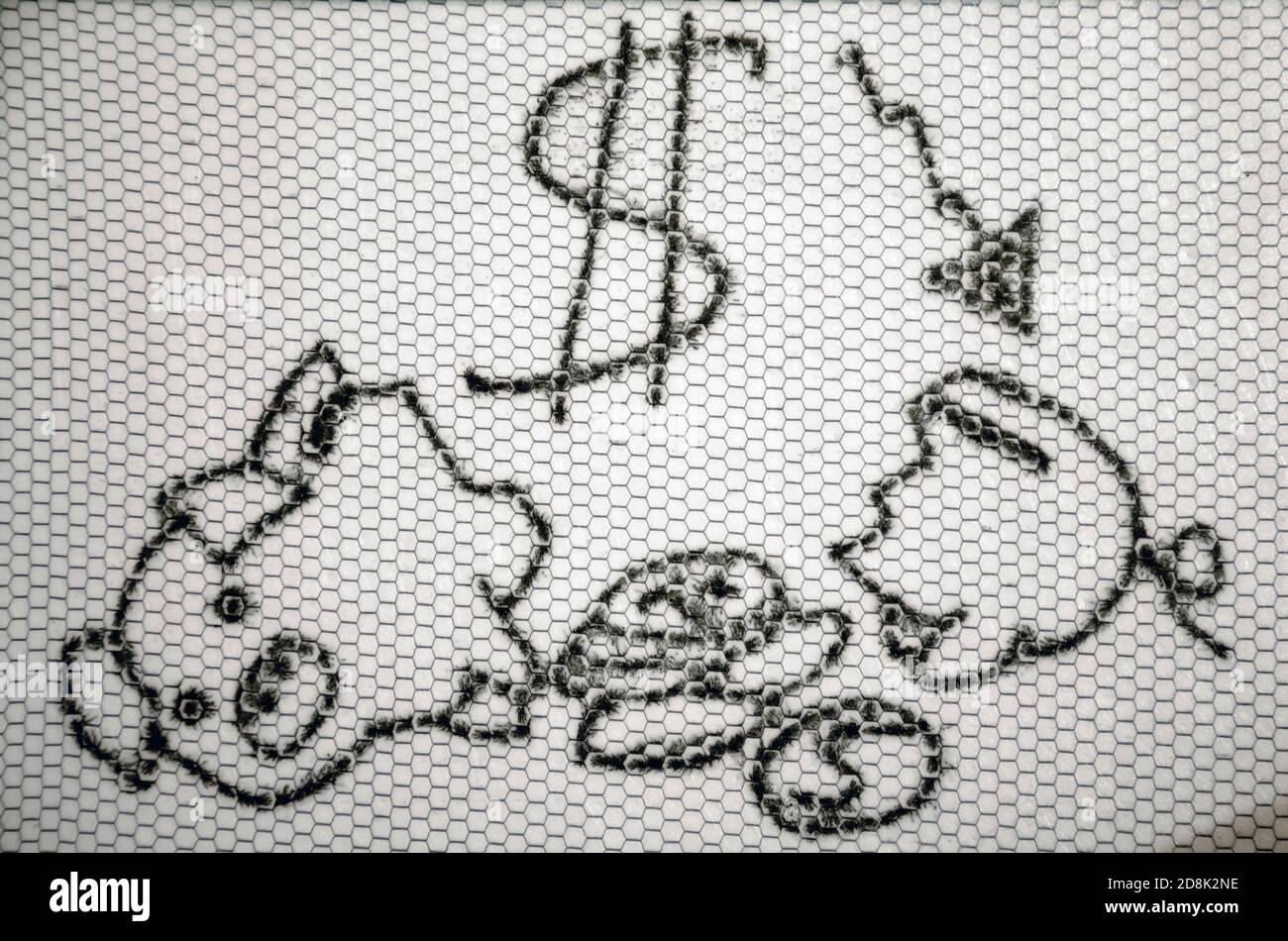 Broken piggy Bank pig drawn on a children's Board. Background