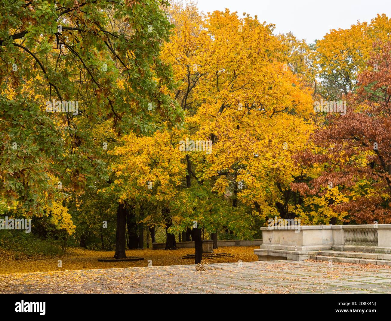 Autumn landscape in the park, Warsaw, Poland Stock Photo