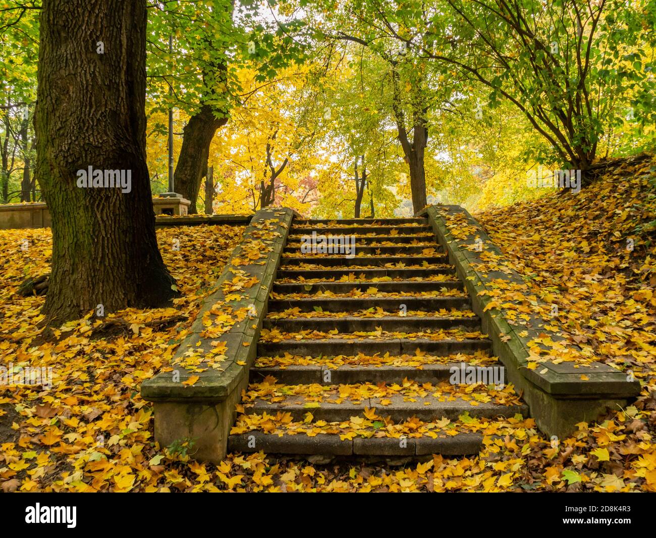 Stone stairs in the public park covered with yellow leaves, autumn. Warsaw, Poland Stock Photo