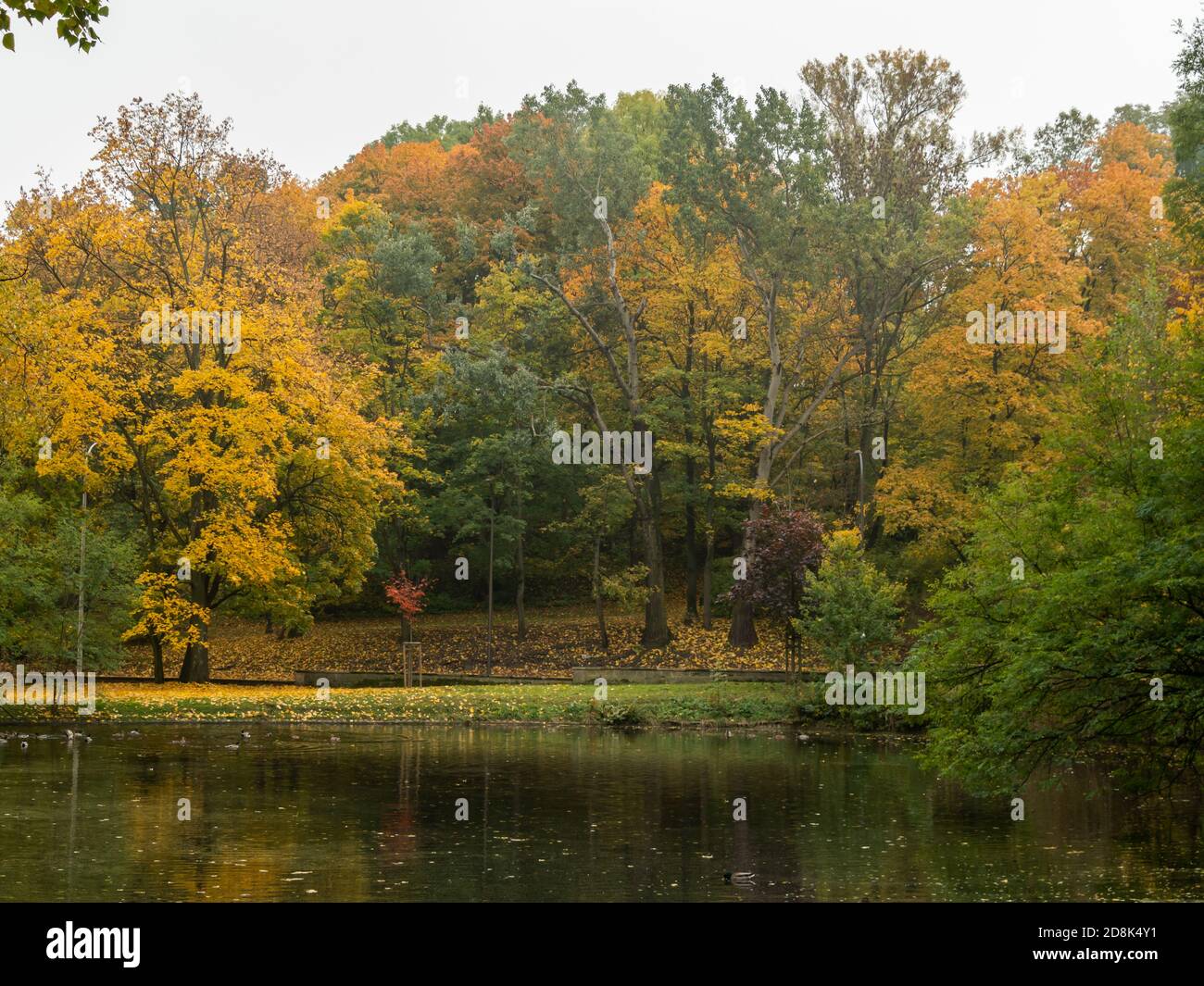 The pond in public park, colors of the autumn. Stock Photo