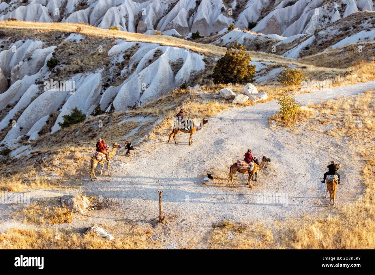 aerial view landscape with camel riding in Cappadocia Stock Photo - Alamy