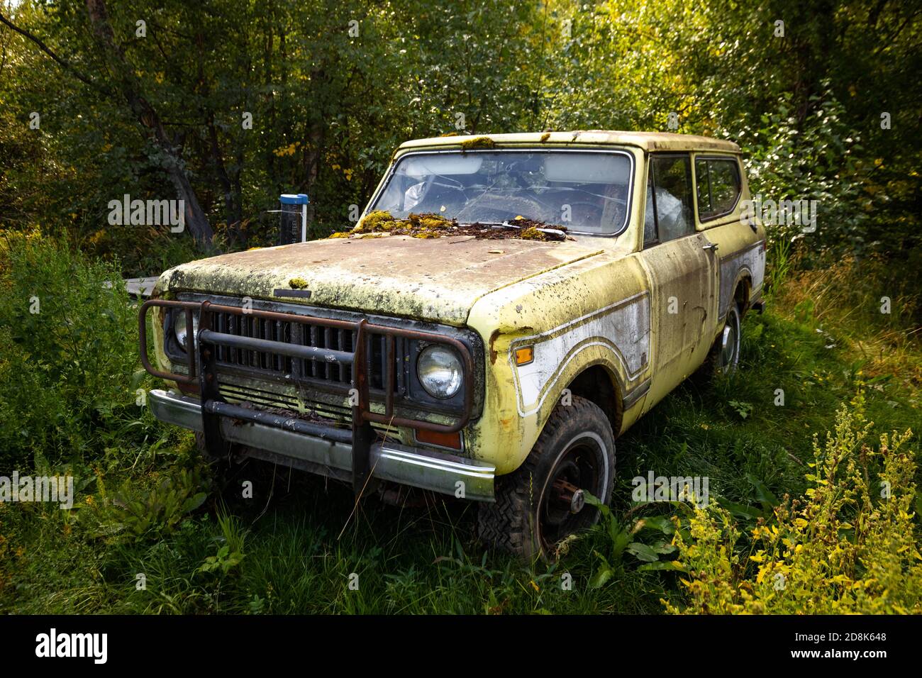 ABANDONED, 4x4 Graveyard, Left to DECAY