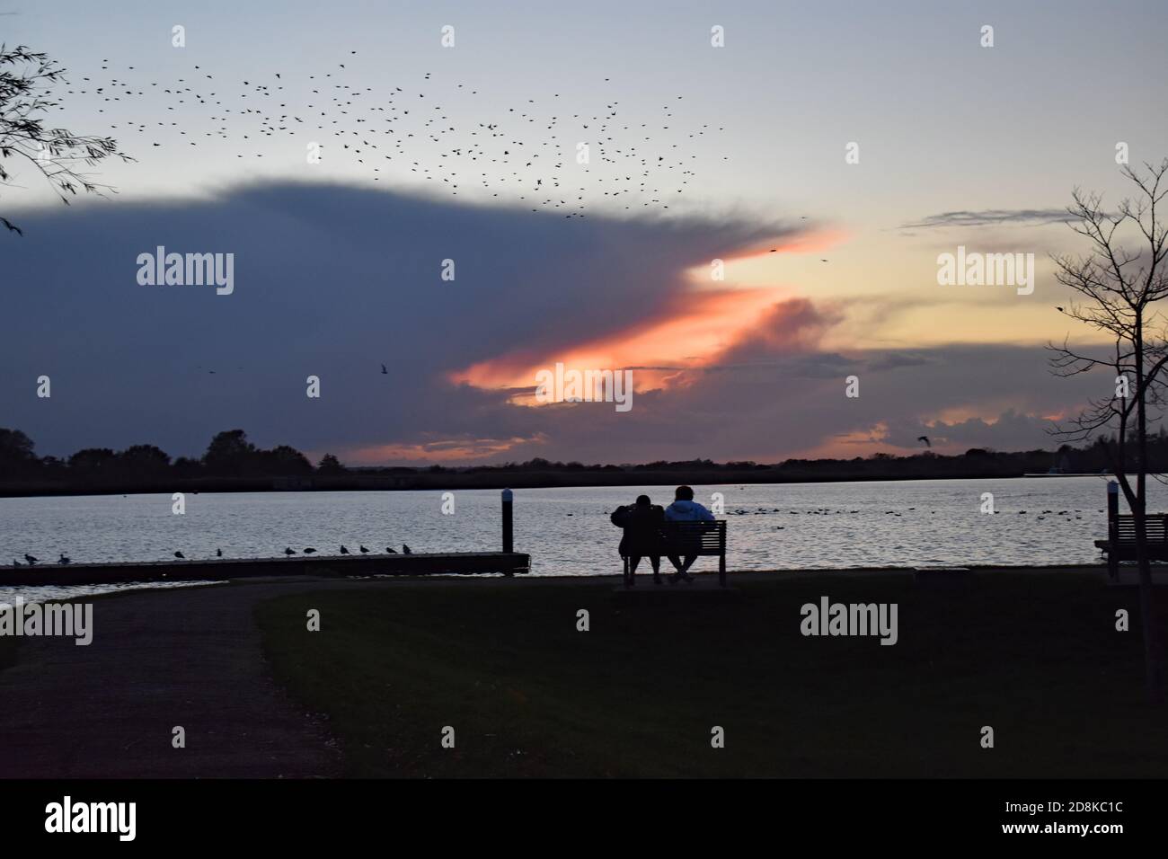 A couple sit on a bench watching the sunset at Oulton Broad near Lowestoft in The Broads National Park.  A flock of birds fly overhead. Stock Photo