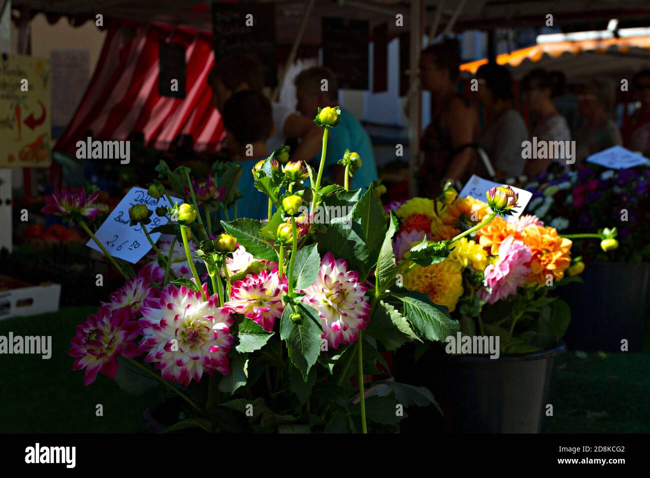 Market of flowers and plants hi-res stock photography and images - Alamy