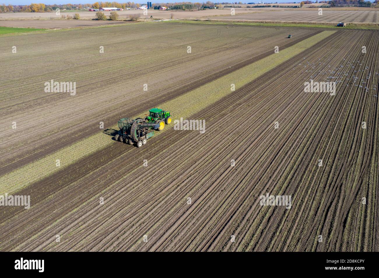 Sugar beet harvester hires stock photography and images Alamy