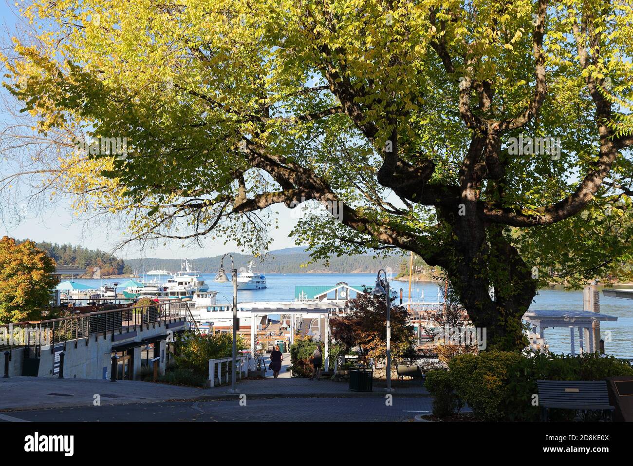 The Port of Friday harbor on the San Juan islands, Washington, USA ...