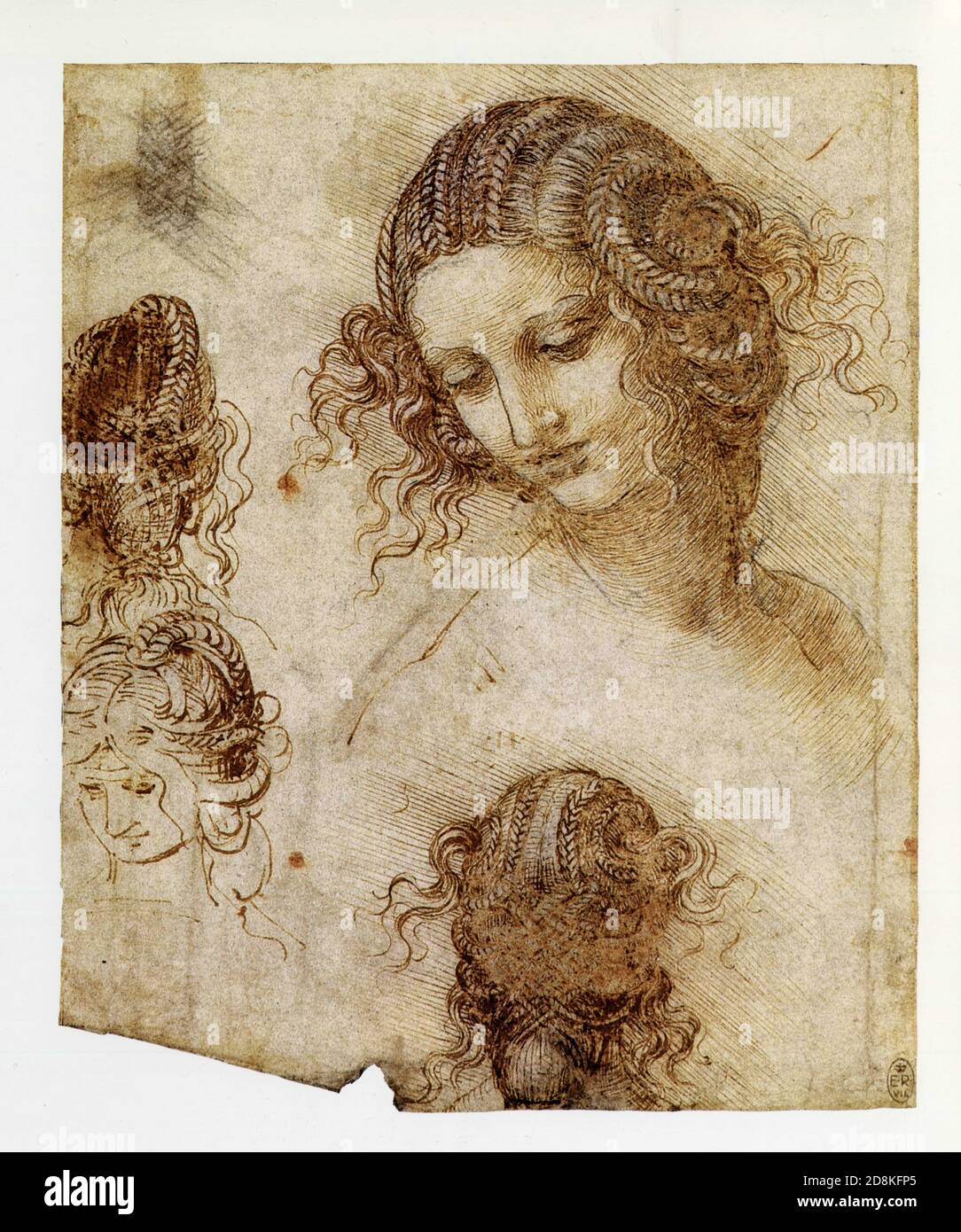Leonardo da Vinci.Study for the head of leda.1505-1507.pen and ink over  black chalk Stock Photo - Alamy