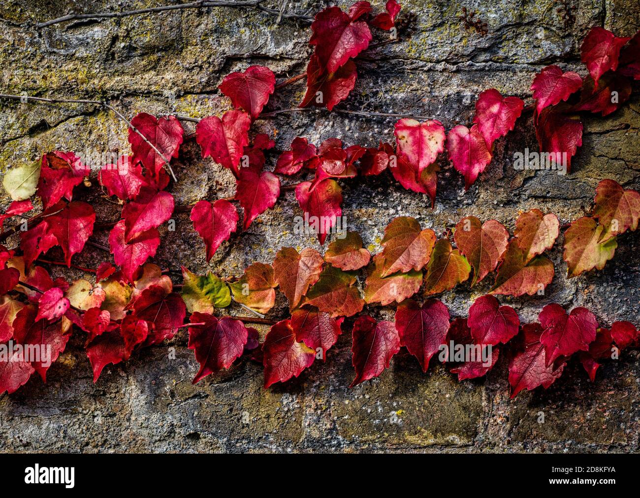Orange and red colours hi-res stock photography and images - Alamy