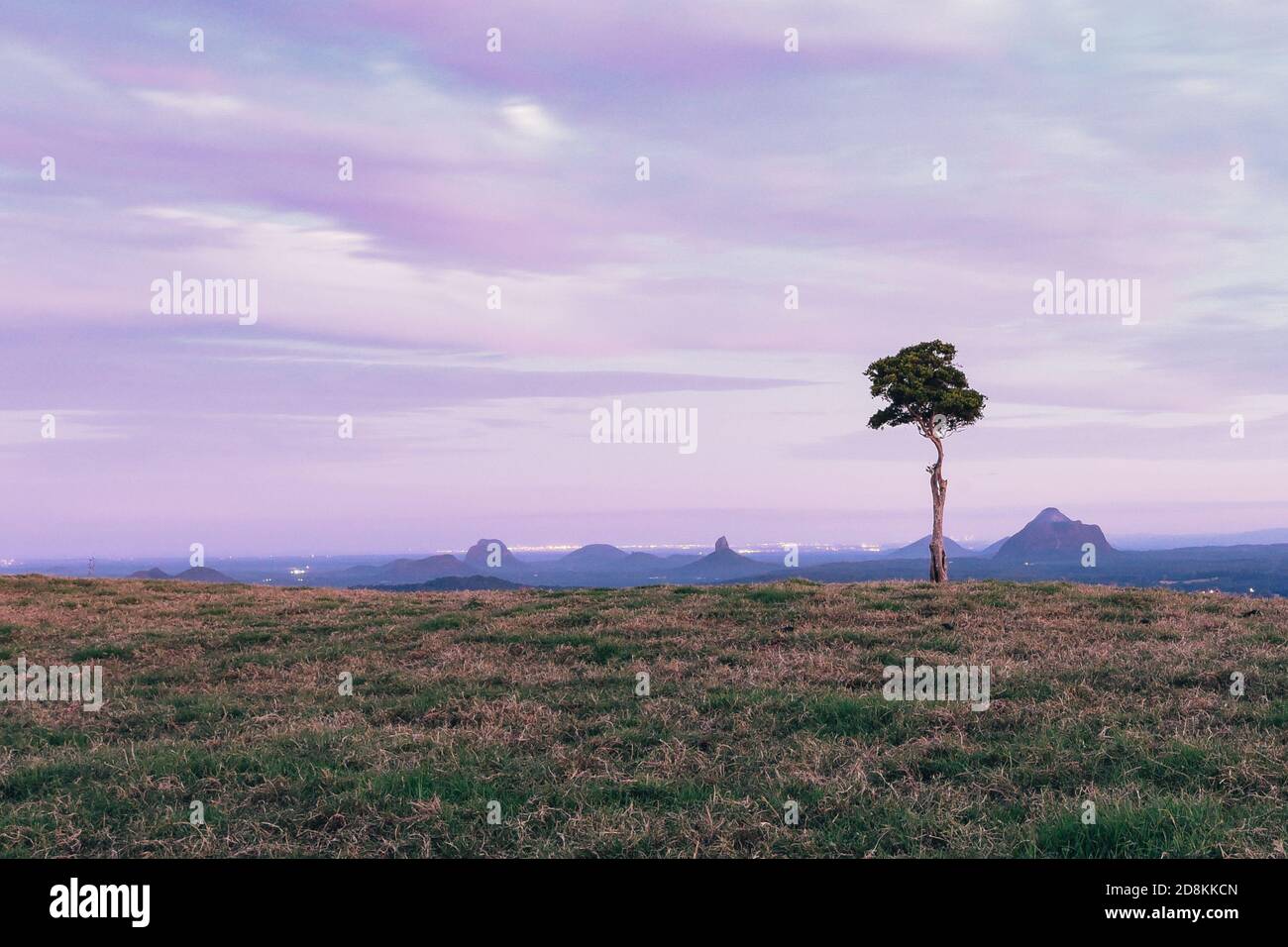 One Tree Hill, Maleny, Australia Stock Photo Alamy