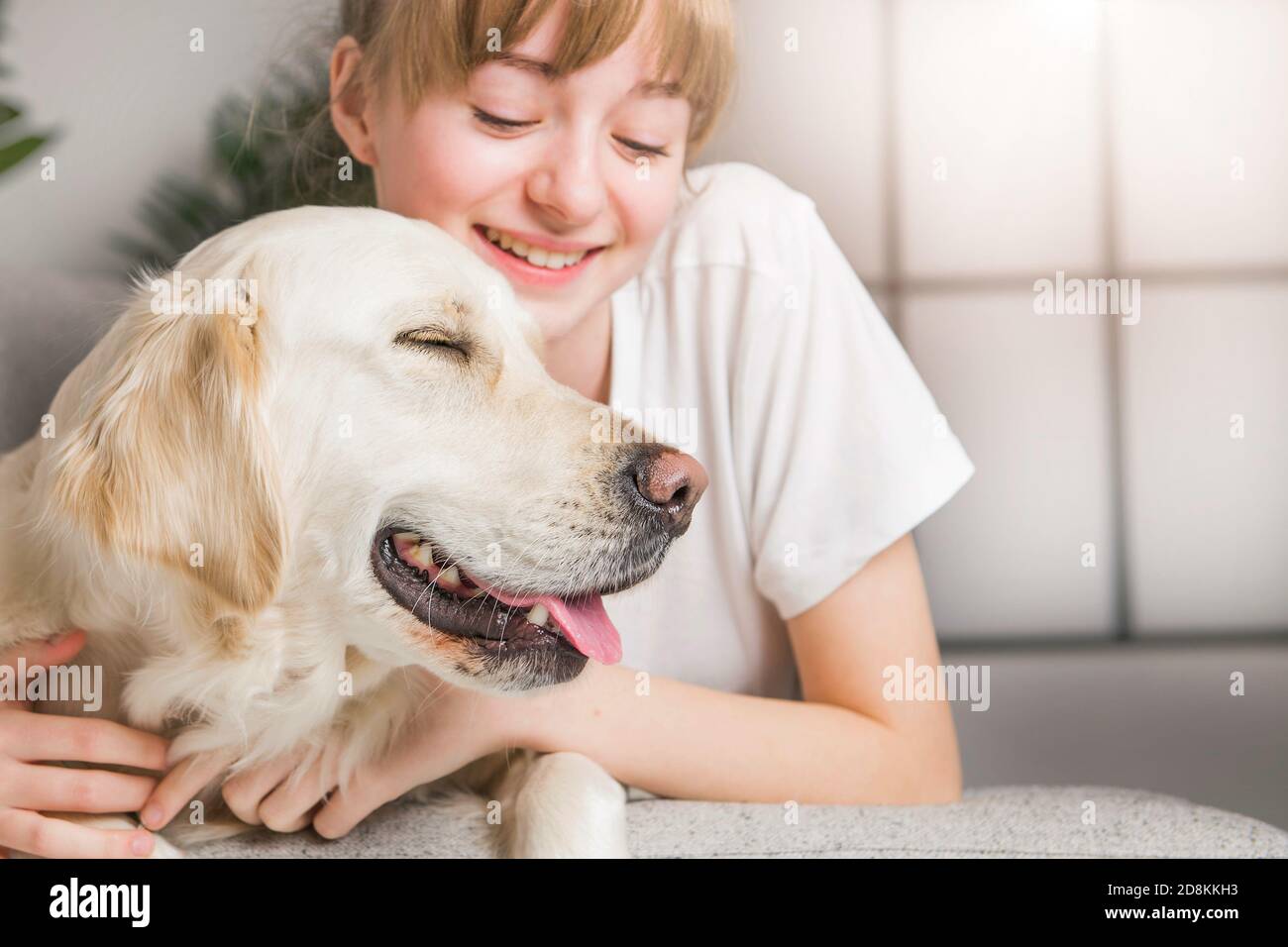 Teen Girl with her golden retreiver dog Stock Photo - Alamy