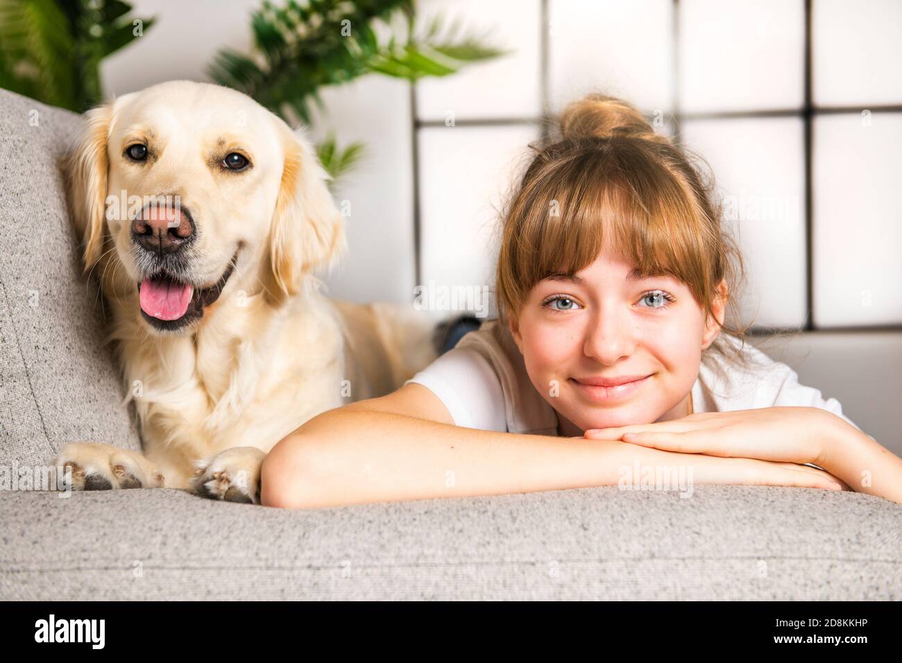 Teen Girl with her golden retreiver dog Stock Photo - Alamy