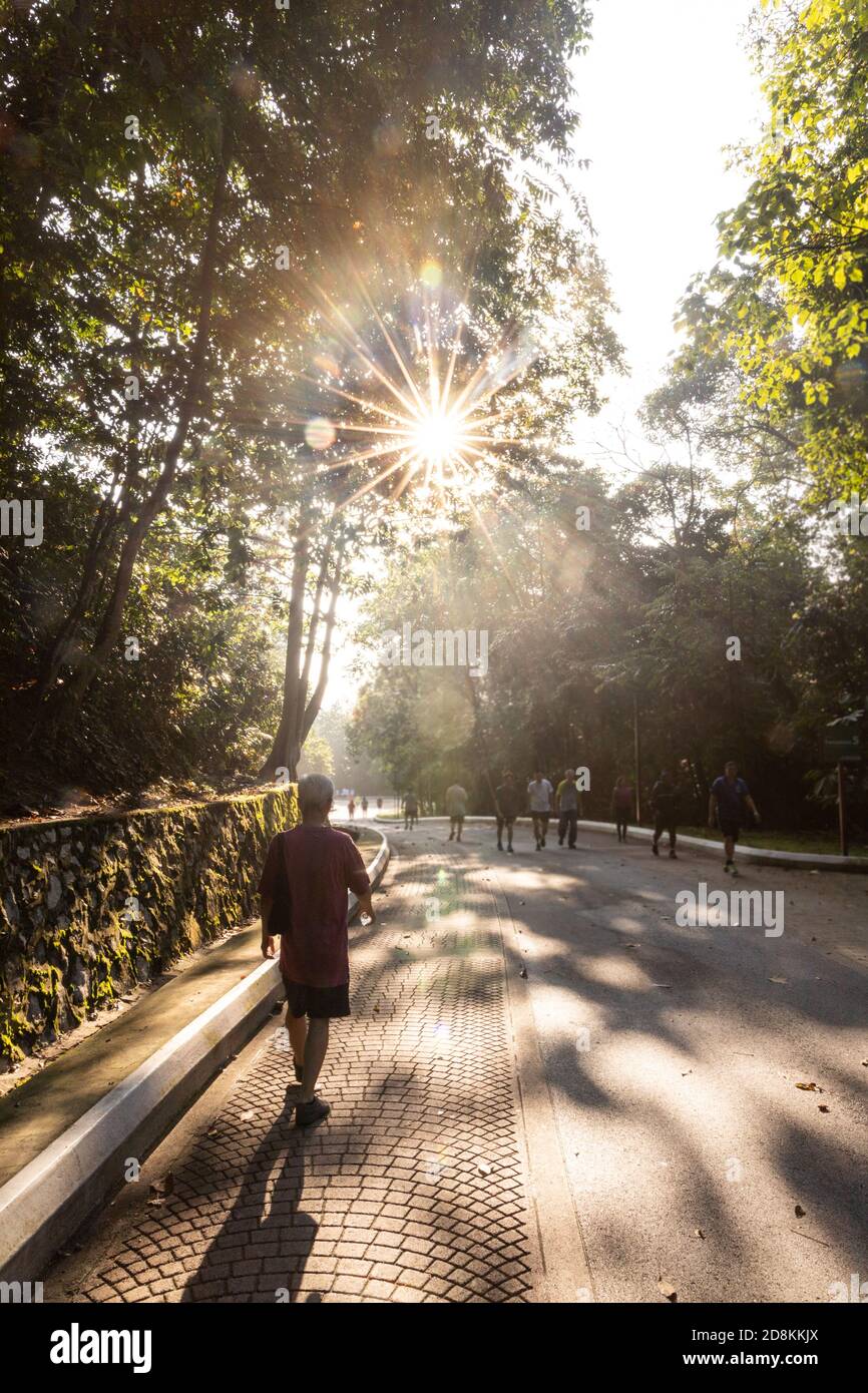 People exercise brisk walk in natural park with morning sun Stock Photo ...