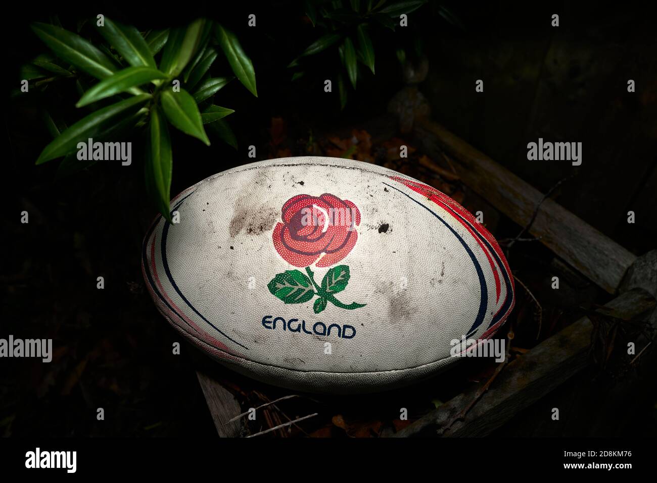 A jaded, faded, dirty, well-used english rugby football in an english garden. Stock Photo