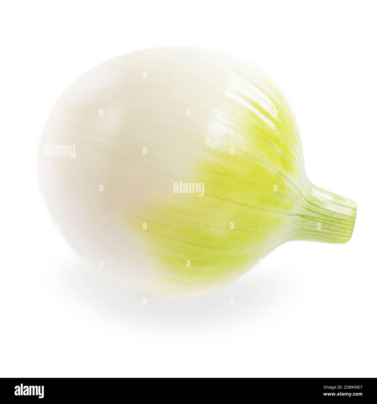 White onion hi-res stock photography and images - Alamy