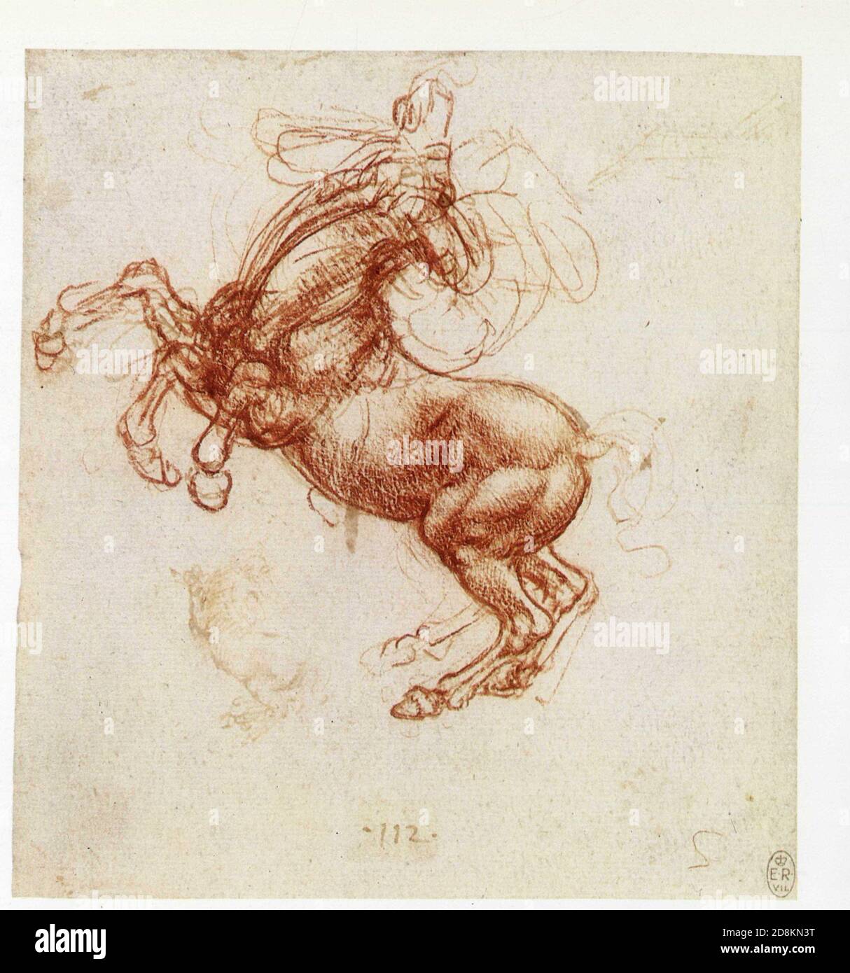 Leonardo da Vinci. A rearing horse. 1505. Red chalk with traces of pen and ink Stock Photo
