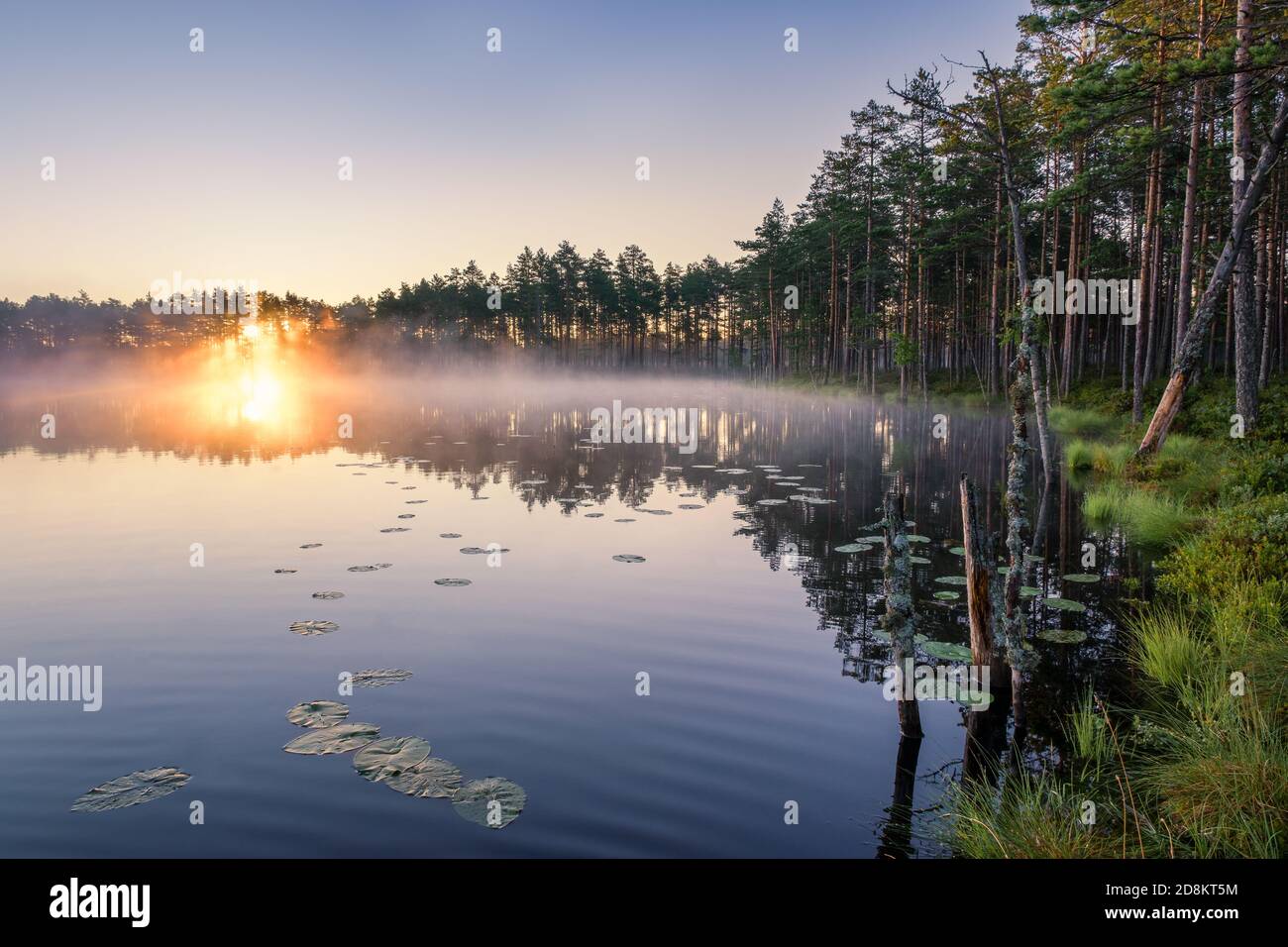 Scenic nature landscape with mood fog and beautiful sunrise at early summer morning in lakeside Finland Stock Photo