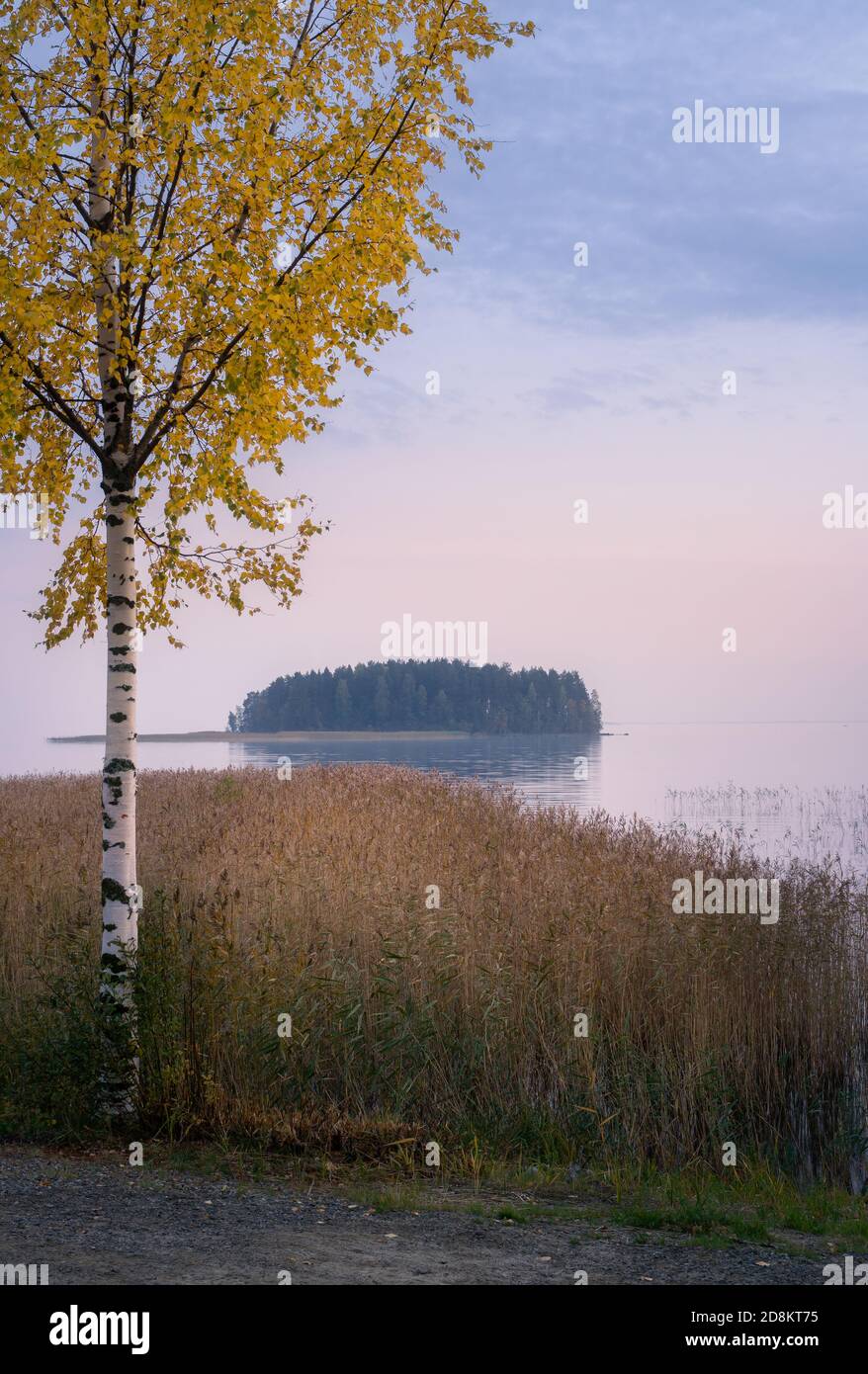 Calm autumn evening landscape with fall color birch trees and tranquil lake in Finland Stock Photo