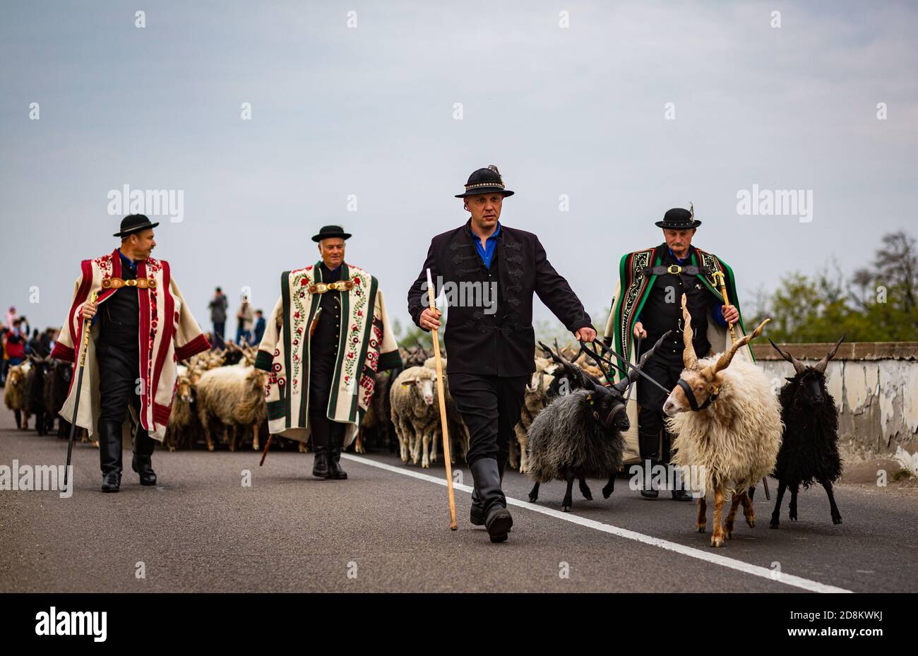 Hungarian shepherds in traditional clothes in the Hortobagy, rural Eastern Hungary Stock Photo