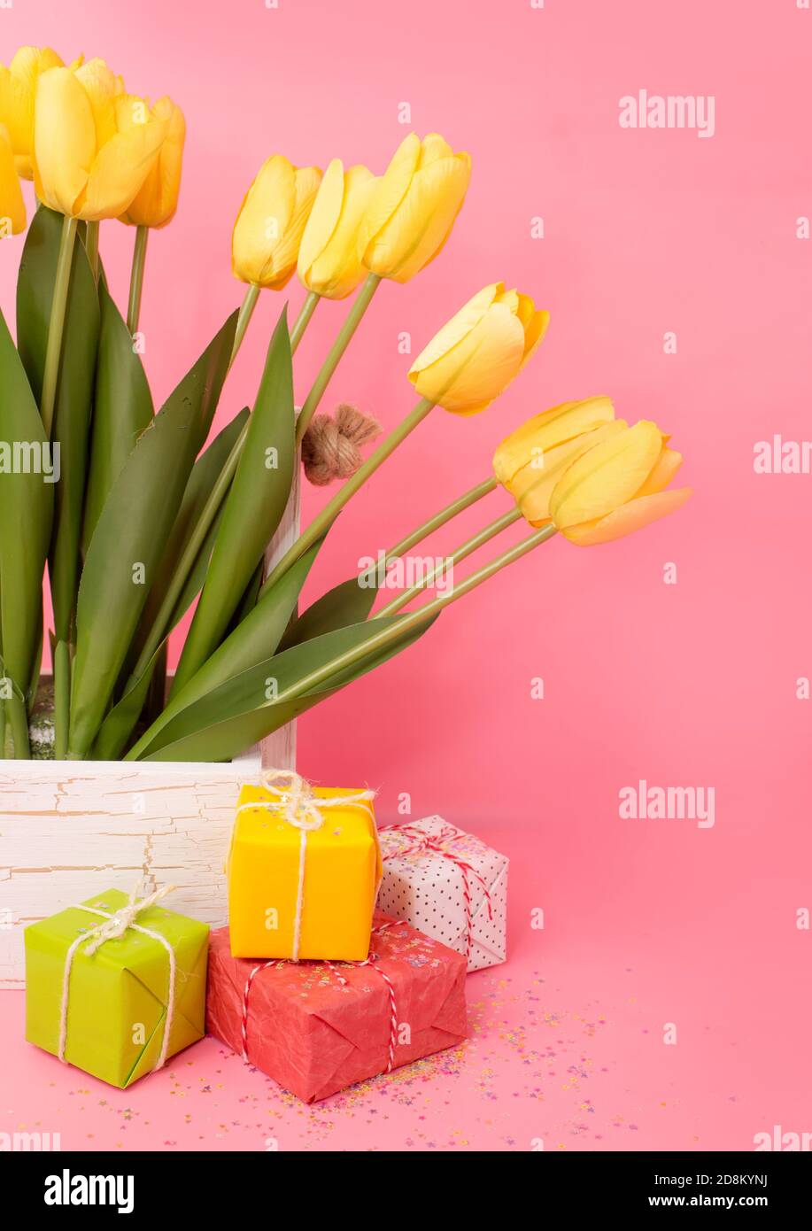 Yellow tulips and gift box, on a pink background. Composition for ...