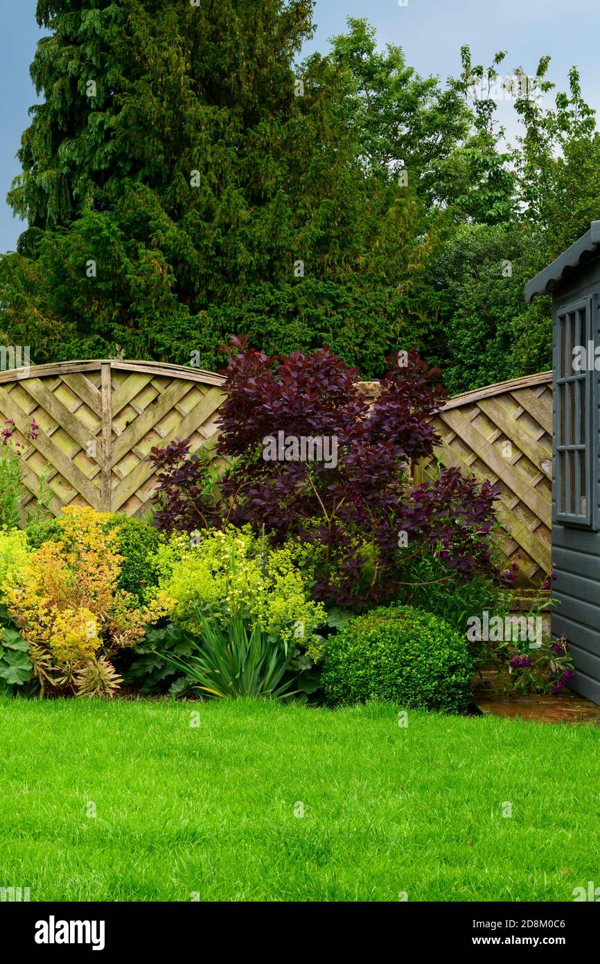 Landscaped private garden close-up (cottage design, summer flowers, mixed border plants, shrubs, colourful foliage, fence) - Yorkshire, England, UK Stock Photo