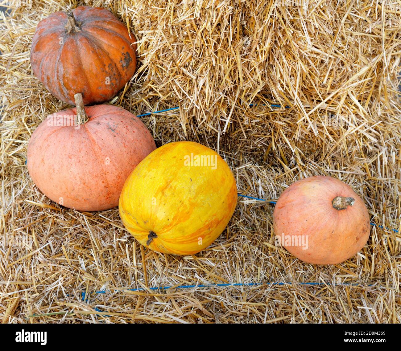 Pumpkins in straw bales hires stock photography and images Alamy