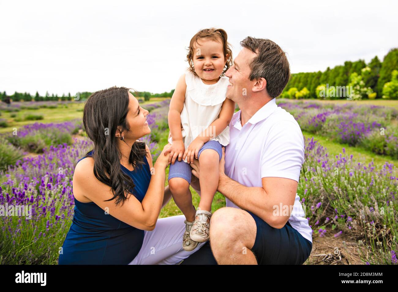 Happy family mother, father and daughter having fun in lavender field Stock Photo