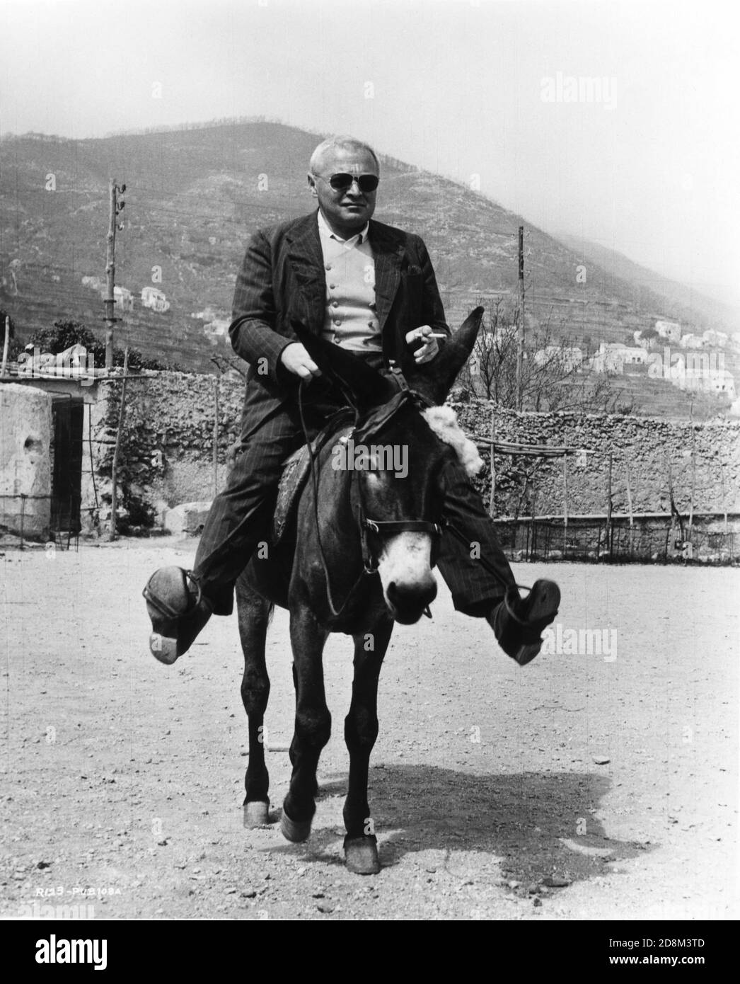 Donkey Ravello 1953 Italy Director High Resolution Stock Photography and Images - Alamy