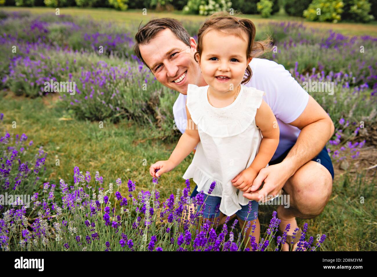 Happy family father and daughter having fun in lavender field Stock Photo