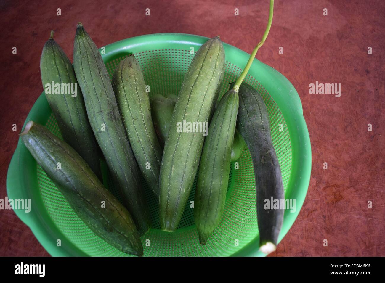 Fresh Sponge Gourds, Luffa cylindrica in table for ready to cooking. Stock Photo