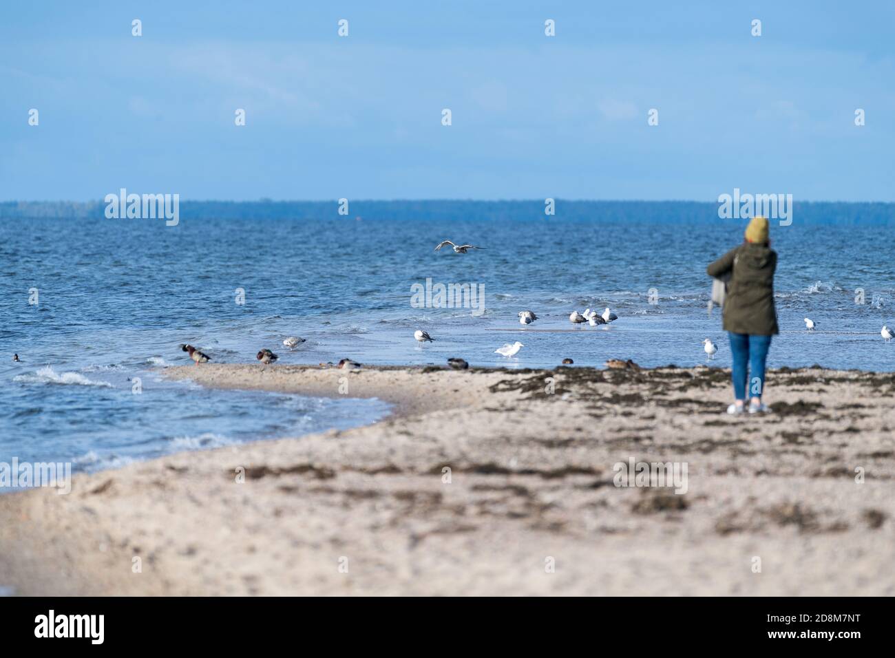 Sandy Cypel Rewski on Zatoka Pucka (Bay of Puck) in Rewa, Poland ...