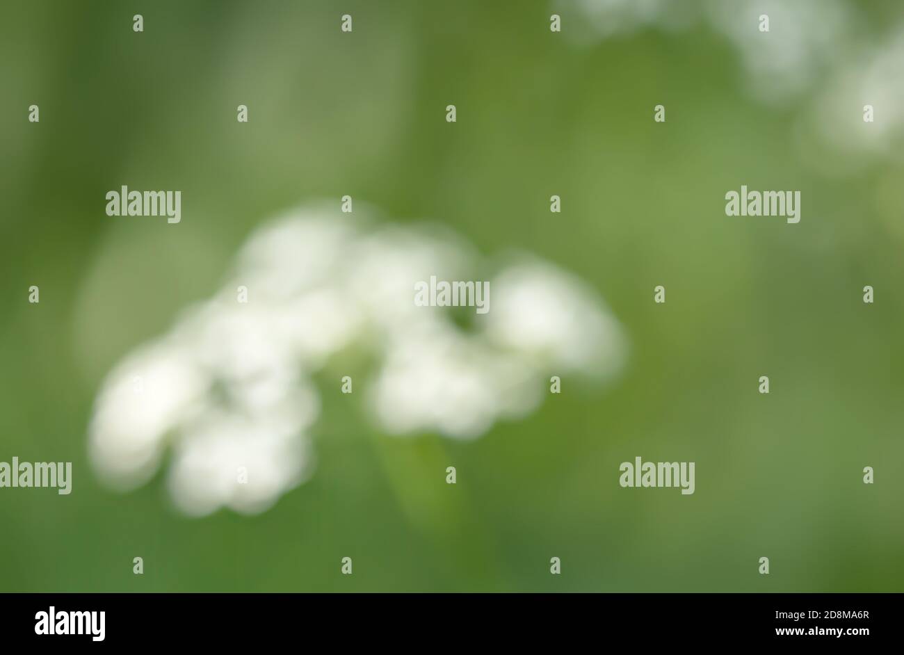 Natural background concept. Nature bokeh background with lights and ...