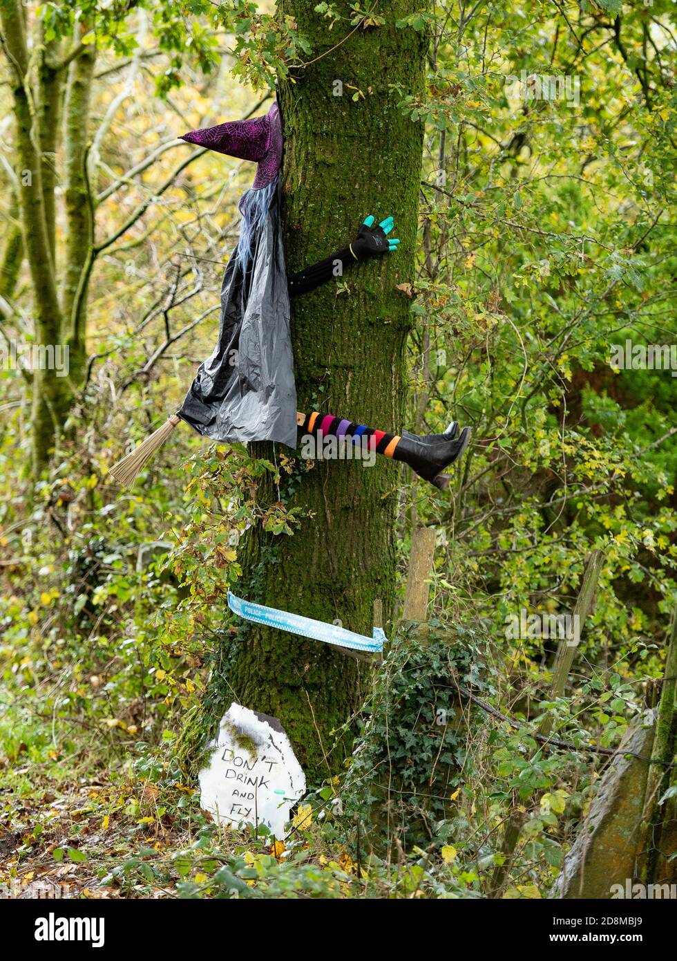 Longridge, Preston, Lancashire, UK  31st October 2020  Don't drink and fly display on a roadside tree near Longridge, Preston, Lancashire, UK  Credit John Eveson/Alamy Live News. Stock Photo