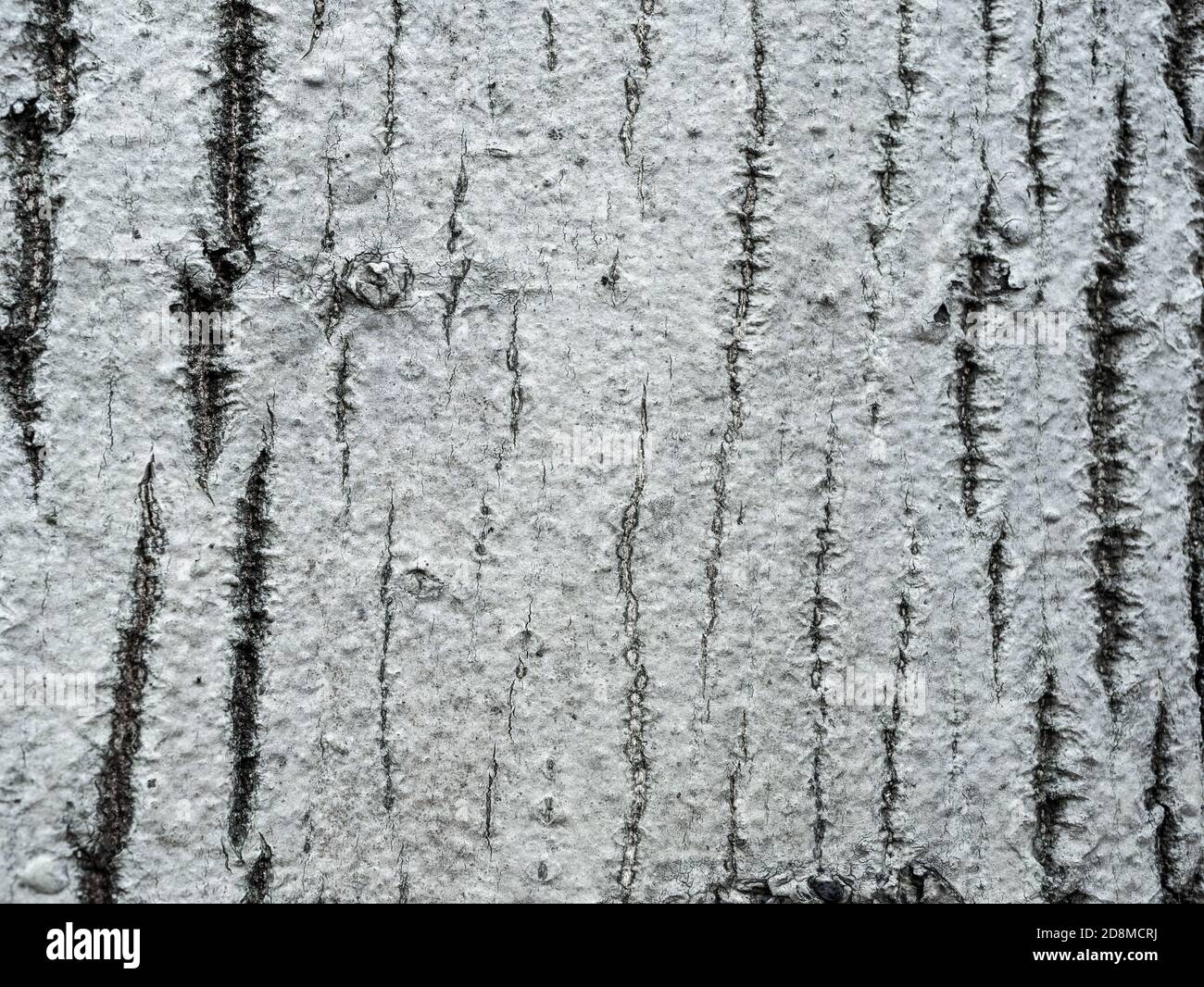 Bark tree natural wood texture pattern Stock Photo - Alamy