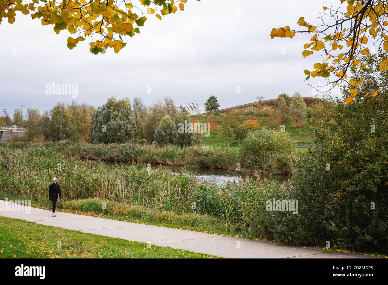 man walks in the Queen Elizabeth Olympic Park, London, England, United Kingdom, Europe. Stock Photo
