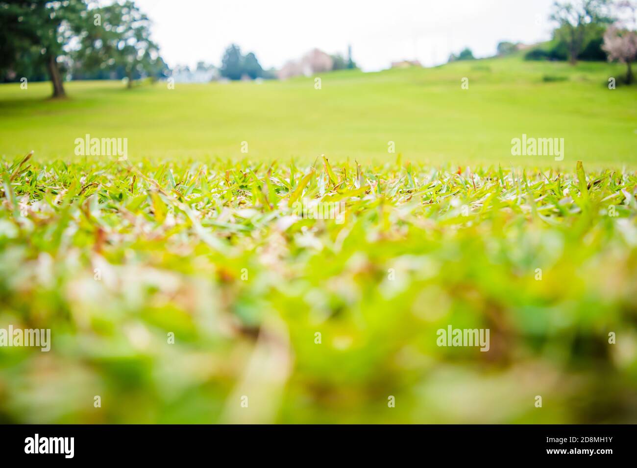 Shillong golf course hi res stock photography and images Alamy