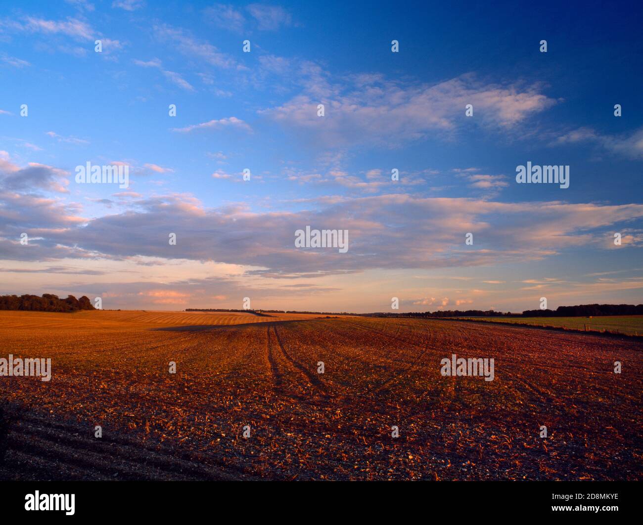 View SE of ploughed chalk downland between Normanton Down (L) & Wilsford Down (rear R), one mile SW of Stonehenge, Wiltshire, England, UK. Stock Photo