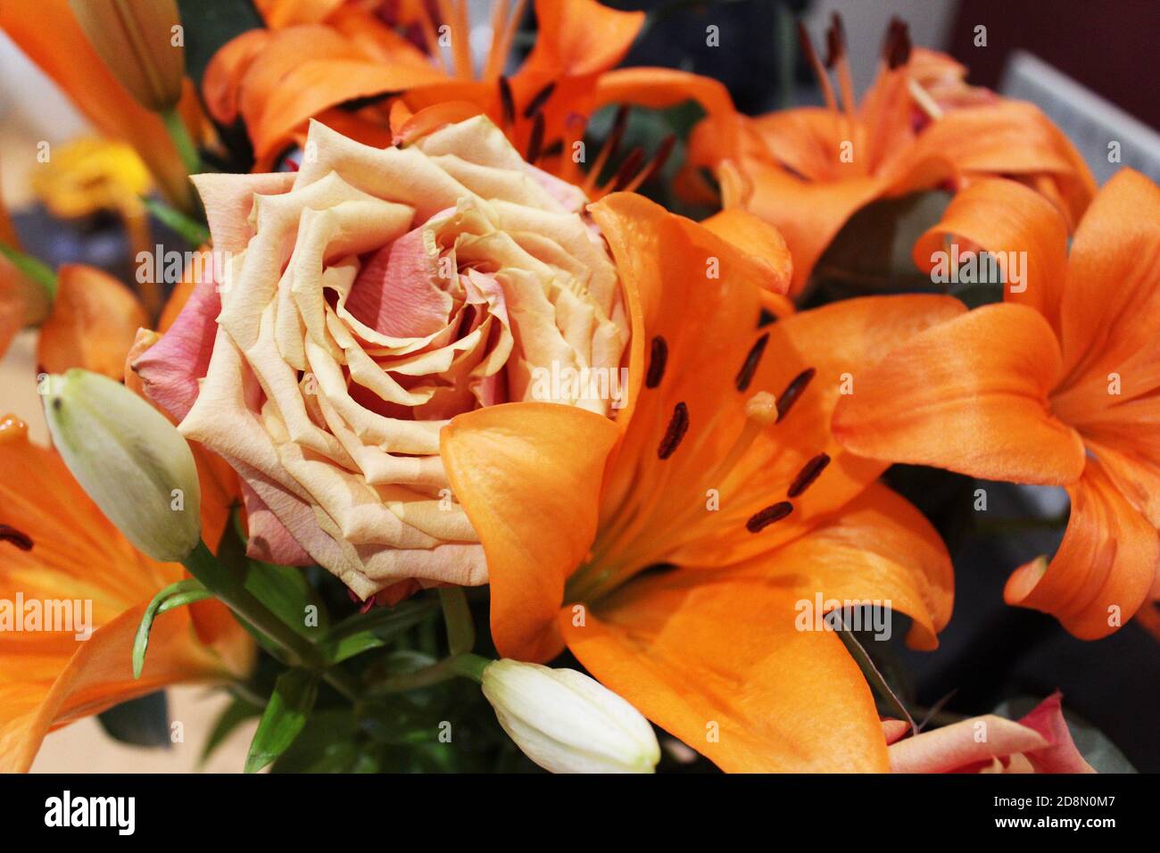Close up orange rose (Rosa) in a bunch/bouquet of Orange County king lilies (Lilium), orange flowers Stock Photo