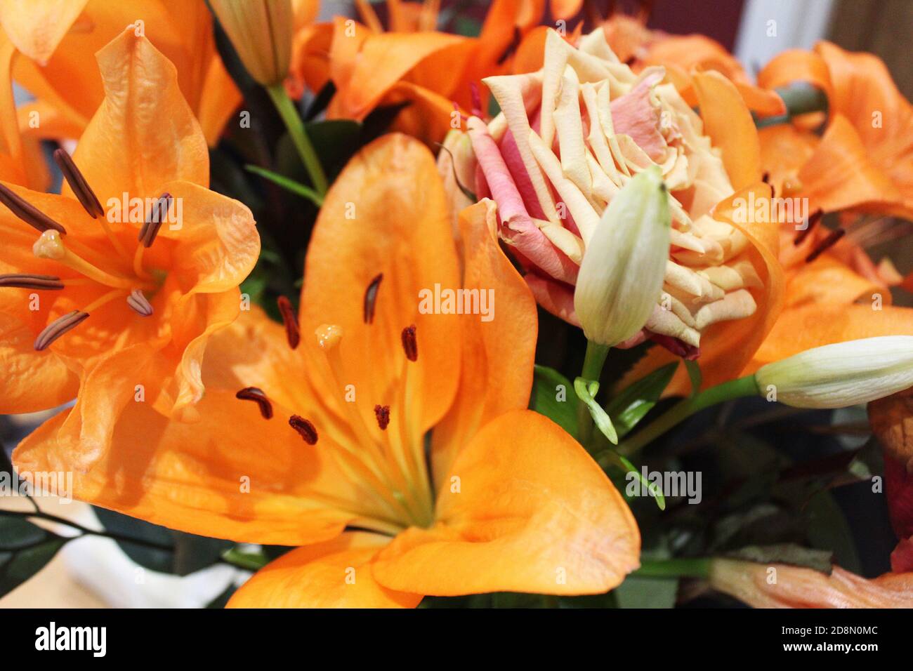 Close up bouquet/bunch of Orange County king lilies (Lilium) and orange roses (Rosa), orange flowers Stock Photo