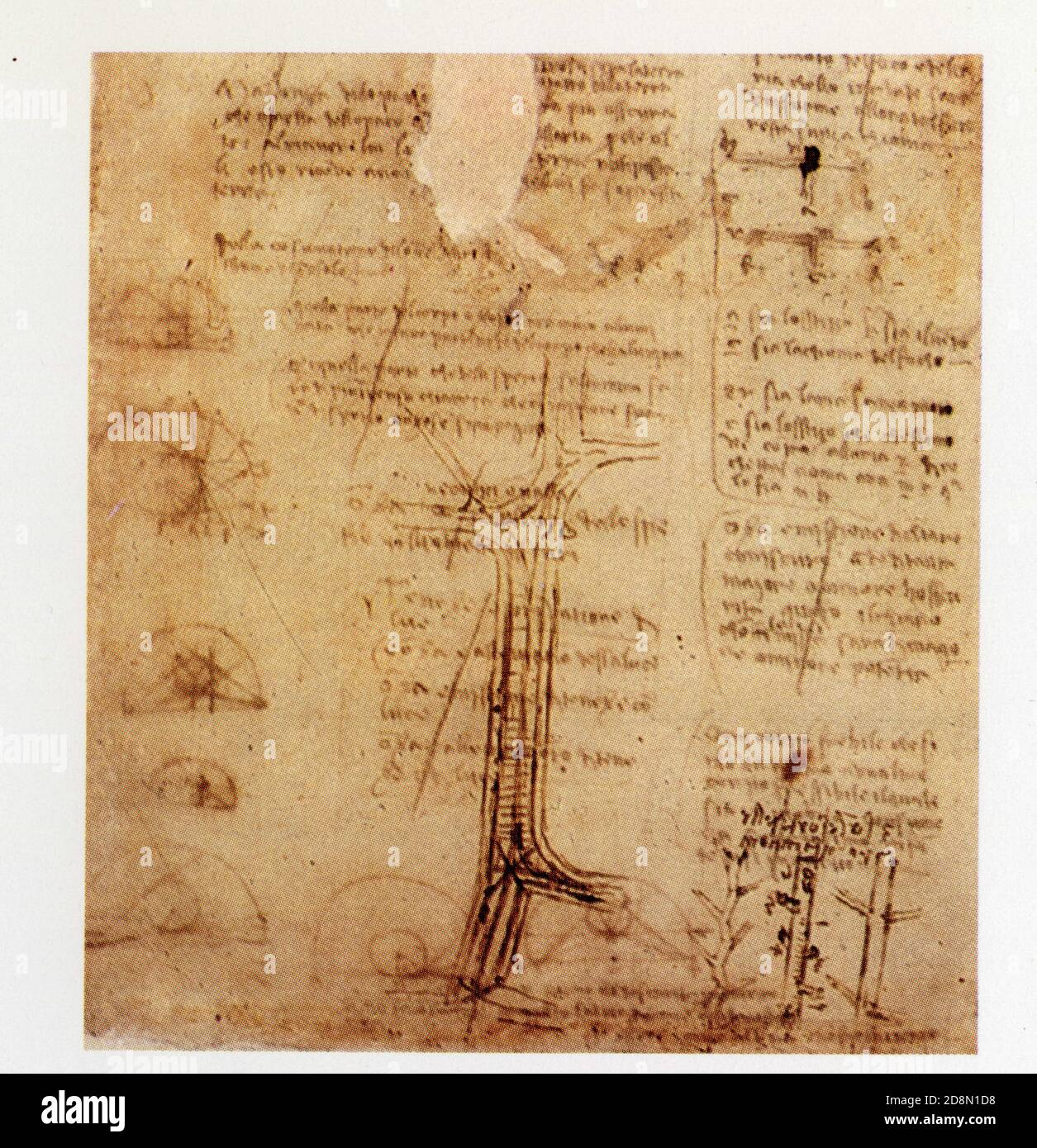 Leonardo da Vinci. Study of a canal system ,left, set against diagrams of growth forms in plants, right. 1504. Pen and ink Stock Photo - Alamy leonardo-da-vinci-study-of-a-canal-system-left-set-against-diagrams-of-growth-forms-in-plants-right-1504-pen-and-ink-stock-photo-alamy