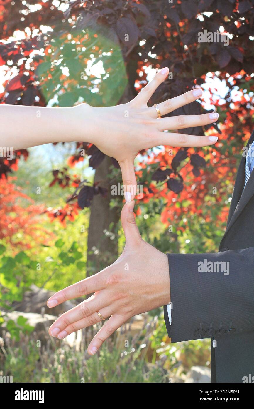 Couple with clasped hands showing wedding rings Stock Photo