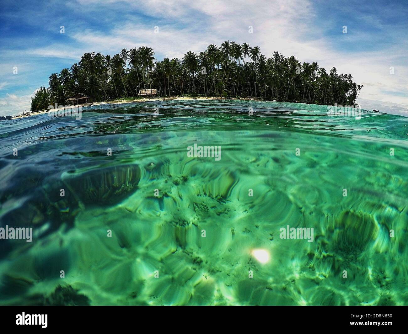 Paradise island with palm trees Stock Photo - Alamy