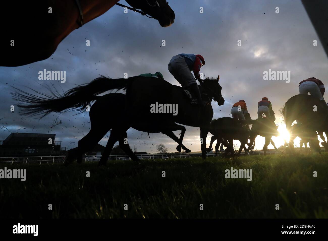 Ebf Farming Roya Runners and riders during the Irish Stallion Farms EBF (Pro/Am) Flat ...