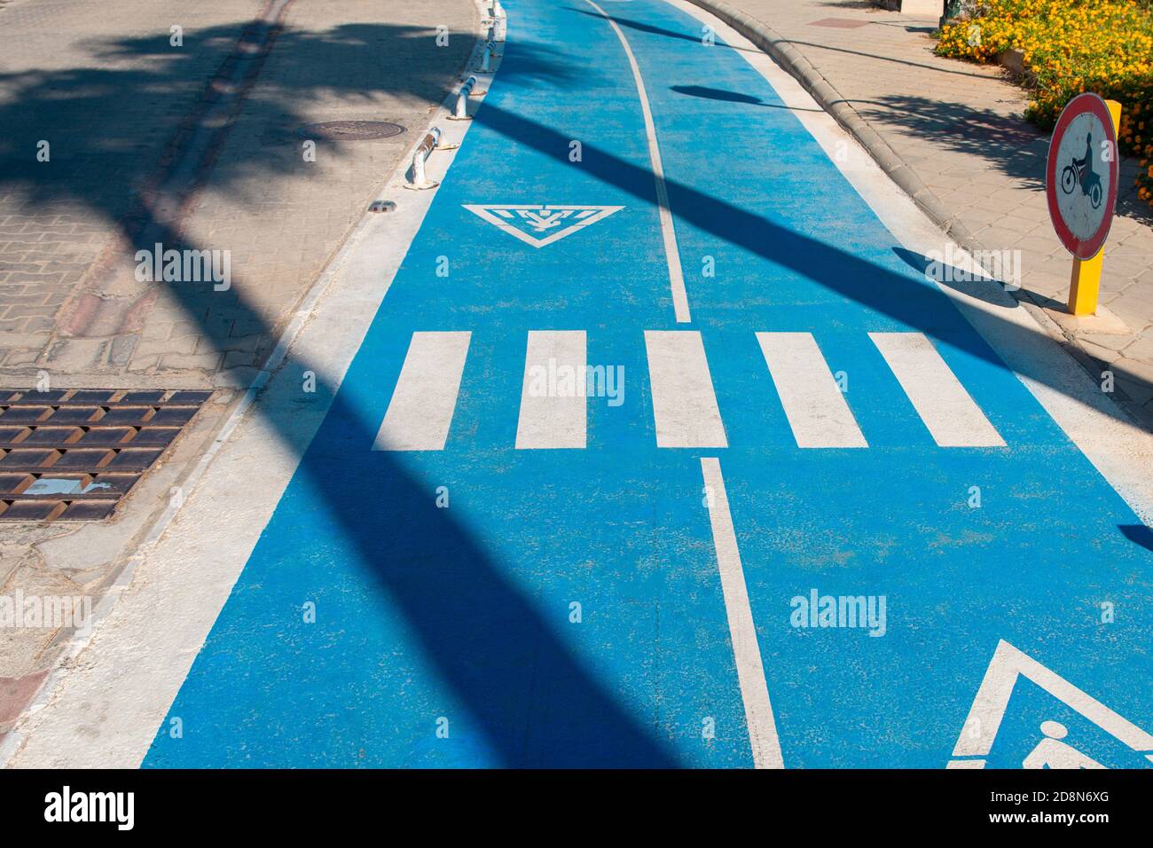 shade from palm trees on the bike path. bicycle path. bike path with pedestrian crossing sign in the shade of palm trees. concept of active rest Stock Photo