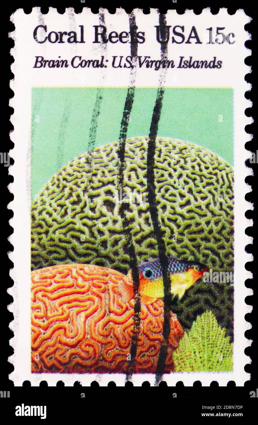 MOSCOW, RUSSIA - OCTOBER 8, 2020: Postage stamp printed in United States shows Grooved Brain Coral (Diploria labyrinthiformis), Boulder Brain Coral (C Stock Photo
