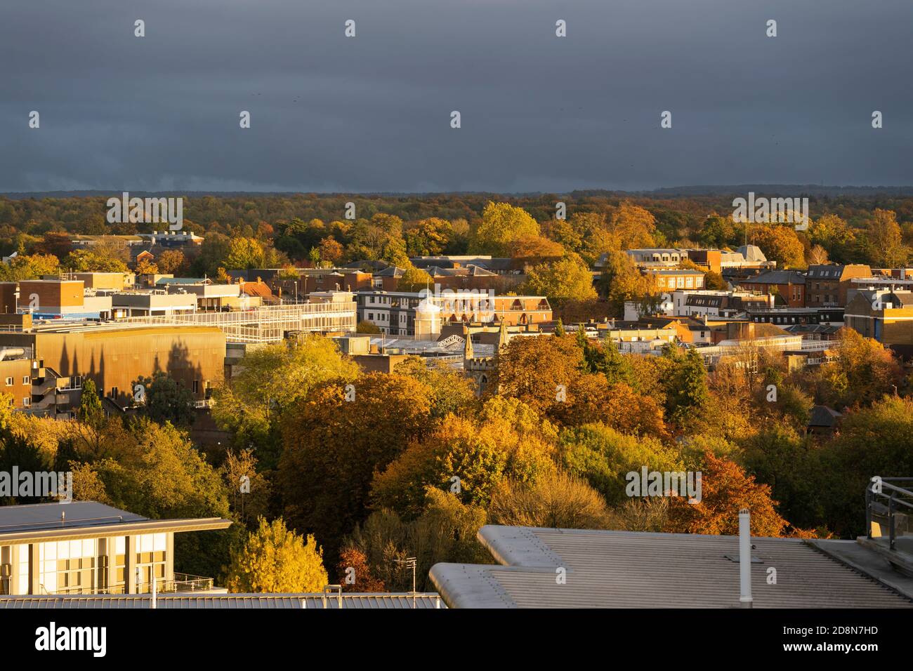 An aerial view on Basingstoke town centre with dramatic orange, red and brown autumn trees caught in the late afternoon setting sun, Hampshire, UK Stock Photo