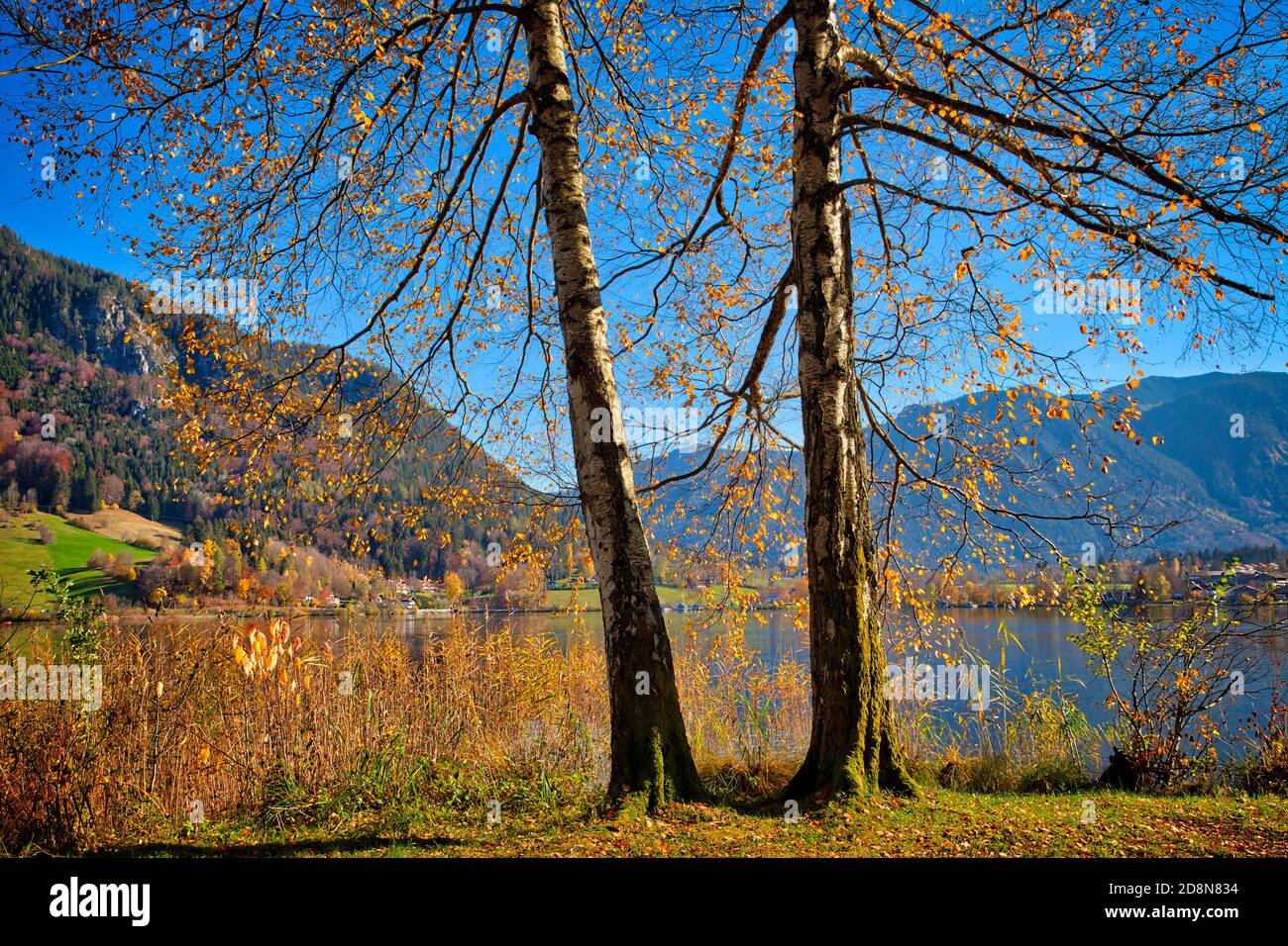 DE - BAVARIA: Autumn at Lake Schiersee Stock Photo